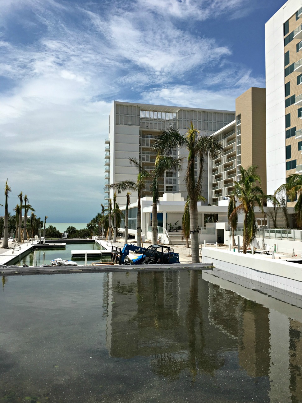 Hurricane Irma Florida trees